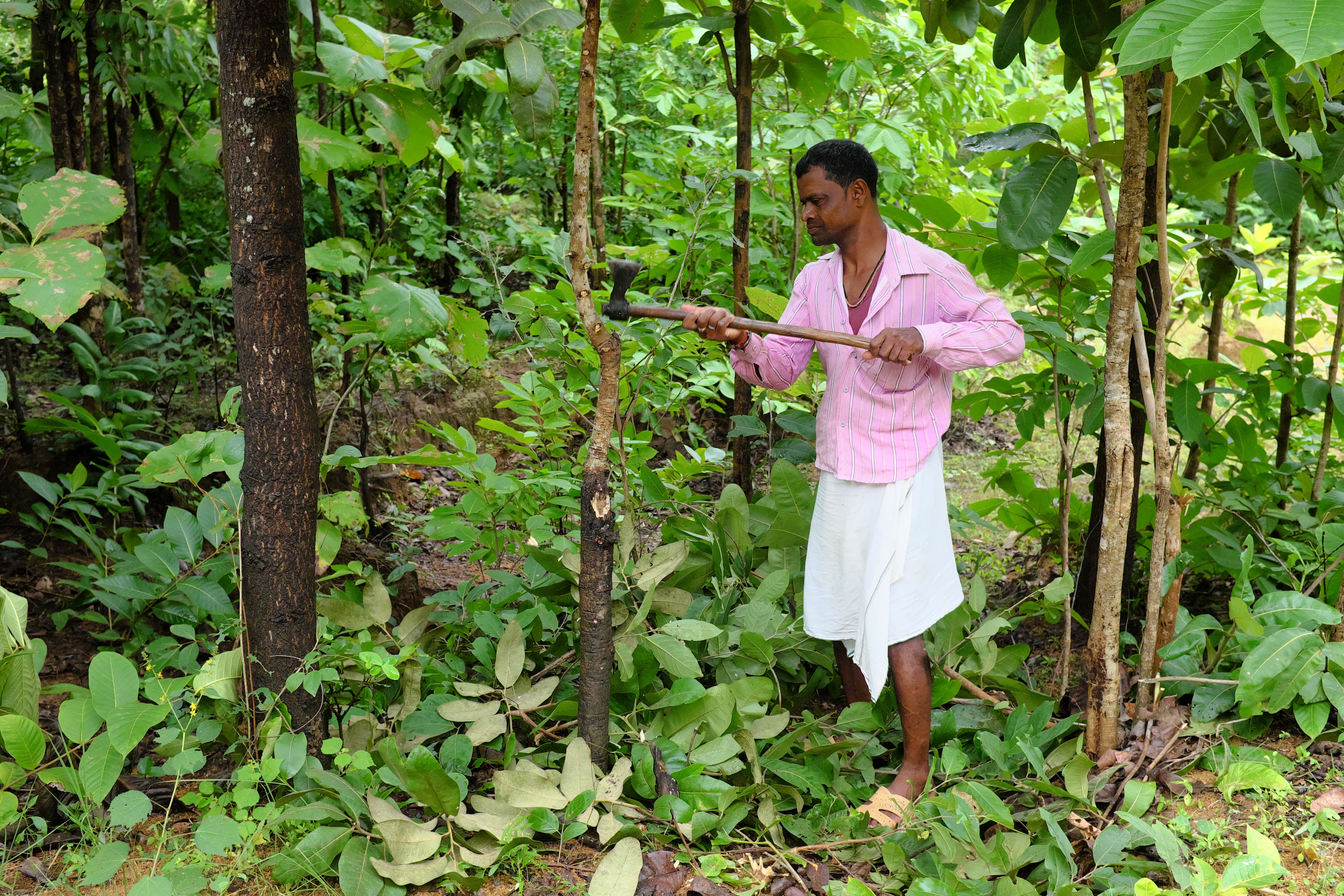 Member of the village's forest rights committee